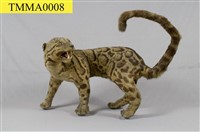 Formosan Clouded Leopard Collection Image, Figure 21, Total 29 Figures